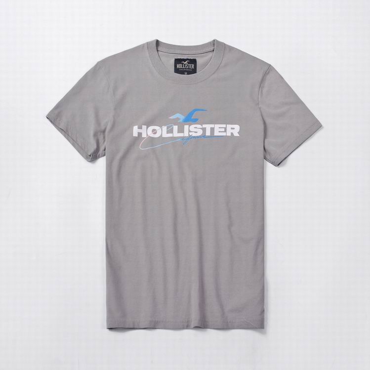 Hollister Men's T-shirts 211